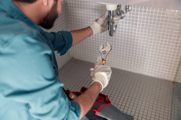 Best Plumbing Inspections & Maintenance in Green Oaks, IL